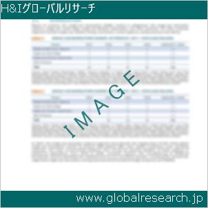 グローバルリサーチ調査レポートのイメージ